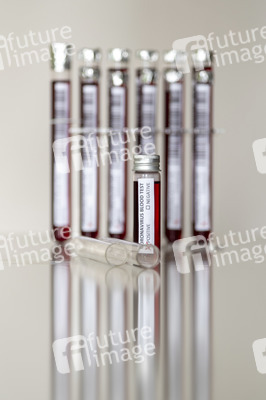 Symbolfoto Coronavirus