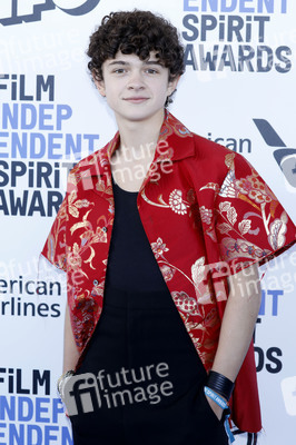 Film Independent Spirit Awards 2020 in Santa Monica