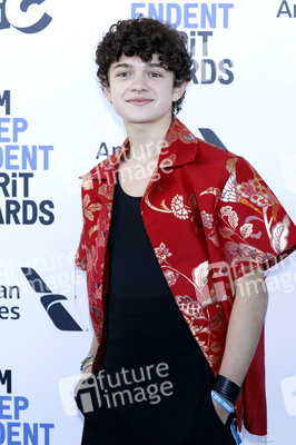 Film Independent Spirit Awards 2020 in Santa Monica