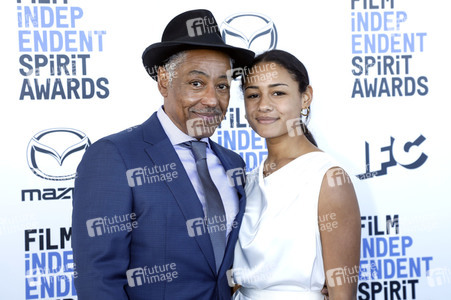 Film Independent Spirit Awards 2020 in Santa Monica