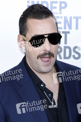 Film Independent Spirit Awards 2020 in Santa Monica