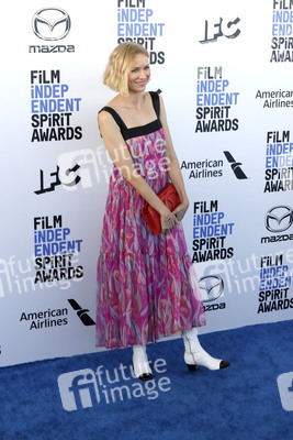 Film Independent Spirit Awards 2020 in Santa Monica