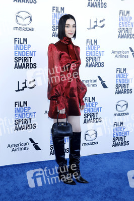 Film Independent Spirit Awards 2020 in Santa Monica