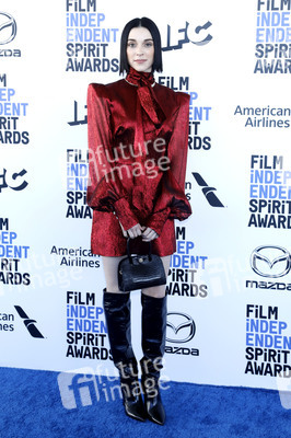 Film Independent Spirit Awards 2020 in Santa Monica