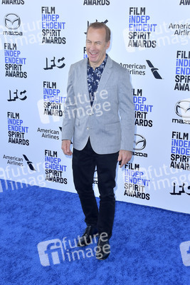 Film Independent Spirit Awards 2020 in Santa Monica