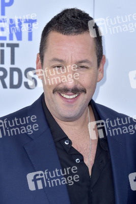 Film Independent Spirit Awards 2020 in Santa Monica