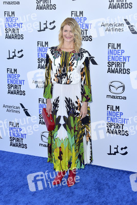 Film Independent Spirit Awards 2020 in Santa Monica