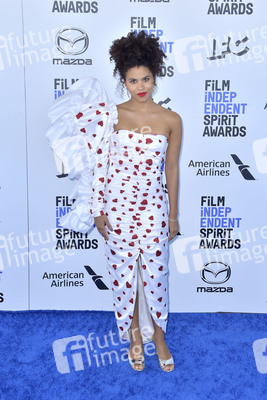 Film Independent Spirit Awards 2020 in Santa Monica