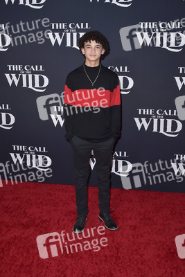 Filmpremiere 'Ruf der Wildnis' in Los Angeles
