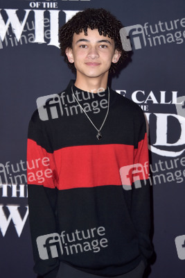 Filmpremiere 'Ruf der Wildnis' in Los Angeles