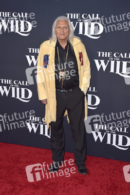 Filmpremiere 'Ruf der Wildnis' in Los Angeles