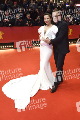 Festivaleröffnung und Filmpremiere 'My Salinger Year', Berlinale 2020