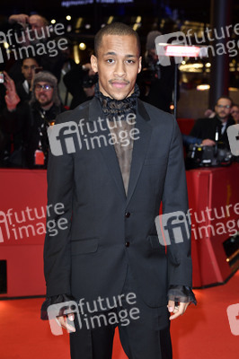 Festivaleröffnung und Filmpremiere 'My Salinger Year', Berlinale 2020