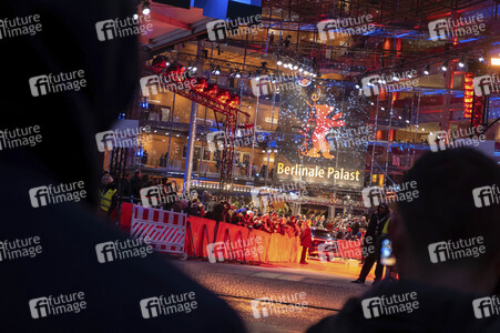 Festivaleröffnung und Filmpremiere 'My Salinger Year', Berlinale 2020