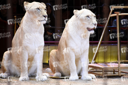 3. Presseempfang zum März-Programm vom Circus Krone in München