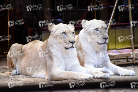 3. Presseempfang zum März-Programm vom Circus Krone in München