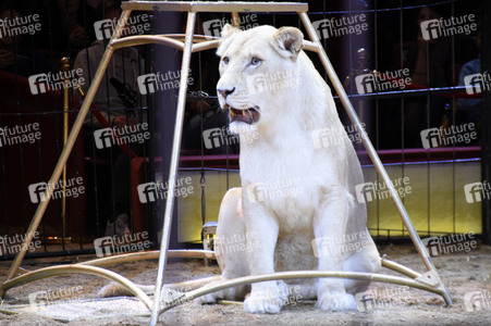 3. Presseempfang zum März-Programm vom Circus Krone in München