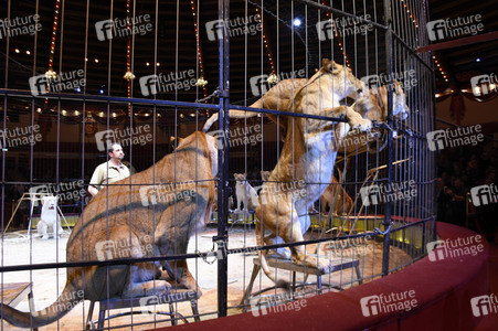 3. Presseempfang zum März-Programm vom Circus Krone in München