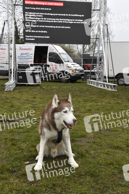 Usedom nach der Absage der Baltic Lights 2020