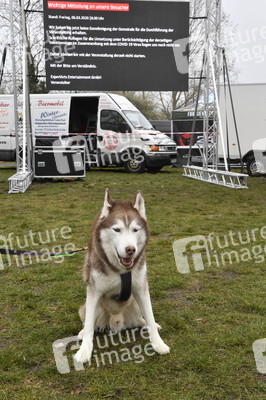 Usedom nach der Absage der Baltic Lights 2020