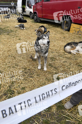 Usedom nach der Absage der Baltic Lights 2020
