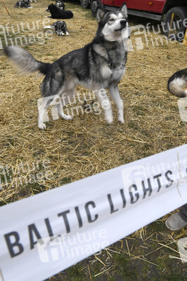 Usedom nach der Absage der Baltic Lights 2020