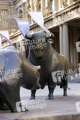 Symbolfoto Frankfurter Börse