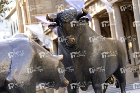 Symbolfoto Frankfurter Börse