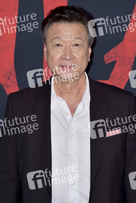 Filmpremiere 'Mulan' in Los Angeles