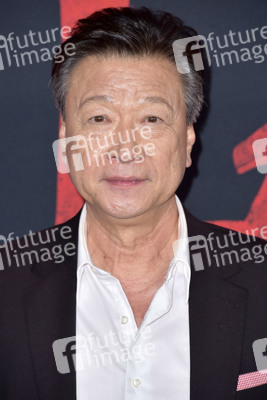 Filmpremiere 'Mulan' in Los Angeles