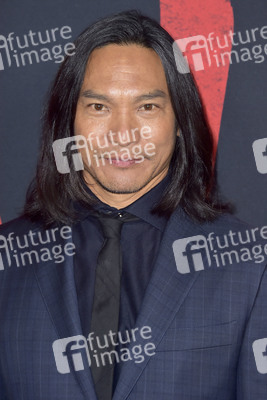 Filmpremiere 'Mulan' in Los Angeles