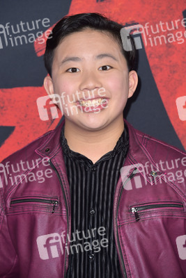 Filmpremiere 'Mulan' in Los Angeles