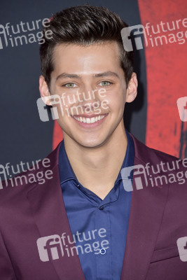 Filmpremiere 'Mulan' in Los Angeles