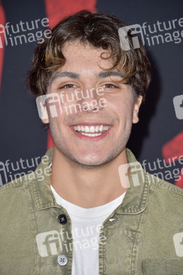 Filmpremiere 'Mulan' in Los Angeles