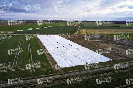 Symbolfoto Erntehelfer Notstand