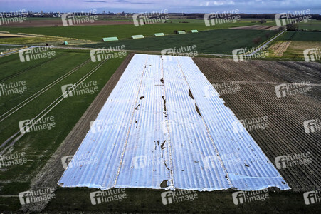 Symbolfoto Erntehelfer Notstand
