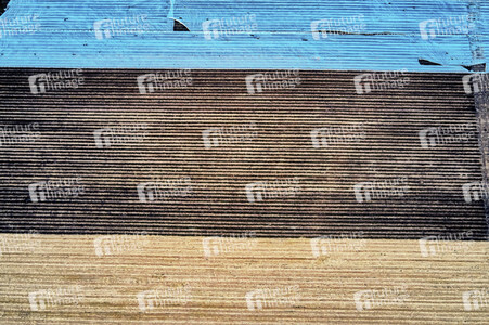 Symbolfoto Erntehelfer Notstand