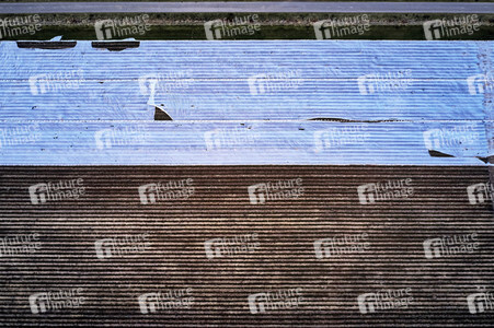 Symbolfoto Erntehelfer Notstand