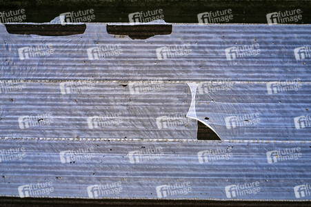 Symbolfoto Erntehelfer Notstand