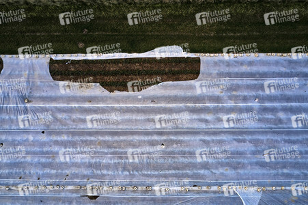 Symbolfoto Erntehelfer Notstand