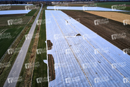 Symbolfoto Erntehelfer Notstand