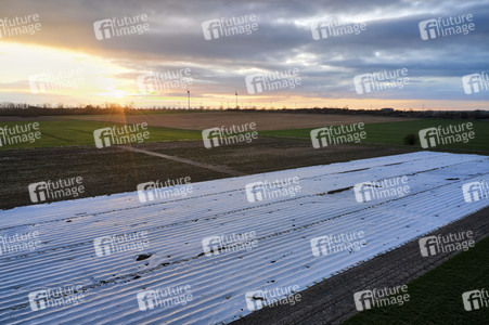 Symbolfoto Erntehelfer Notstand