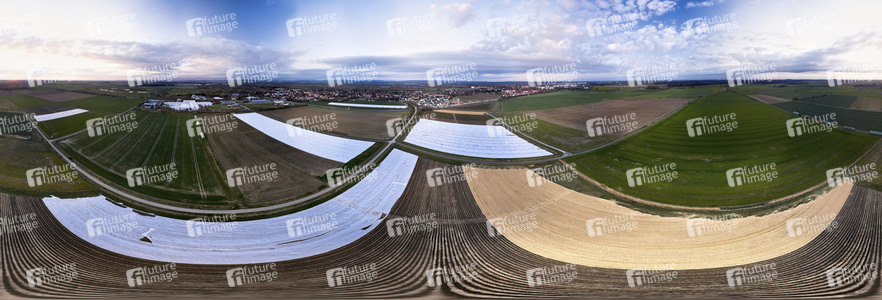Symbolfoto Erntehelfer Notstand