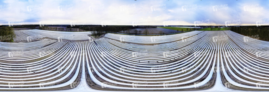 Symbolfoto Erntehelfer Notstand