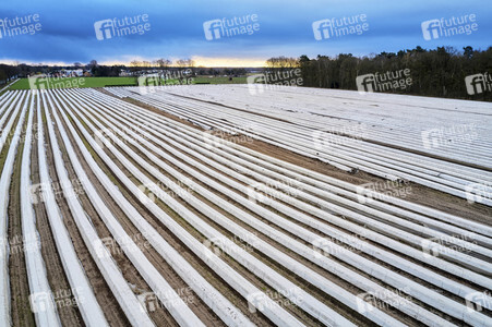Symbolfoto Erntehelfer Notstand