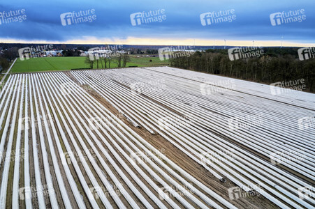 Symbolfoto Erntehelfer Notstand
