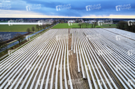 Symbolfoto Erntehelfer Notstand