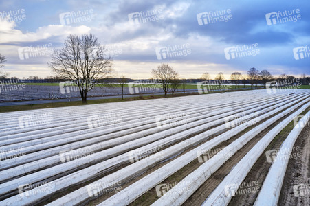 Symbolfoto Erntehelfer Notstand