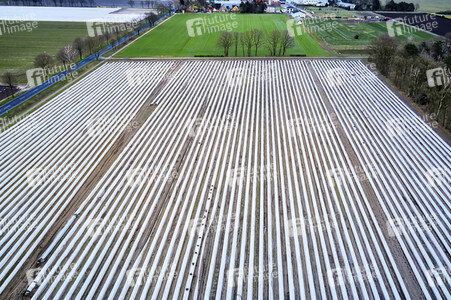 Symbolfoto Erntehelfer Notstand