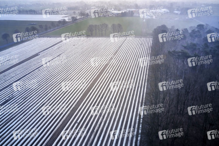 Symbolfoto Erntehelfer Notstand